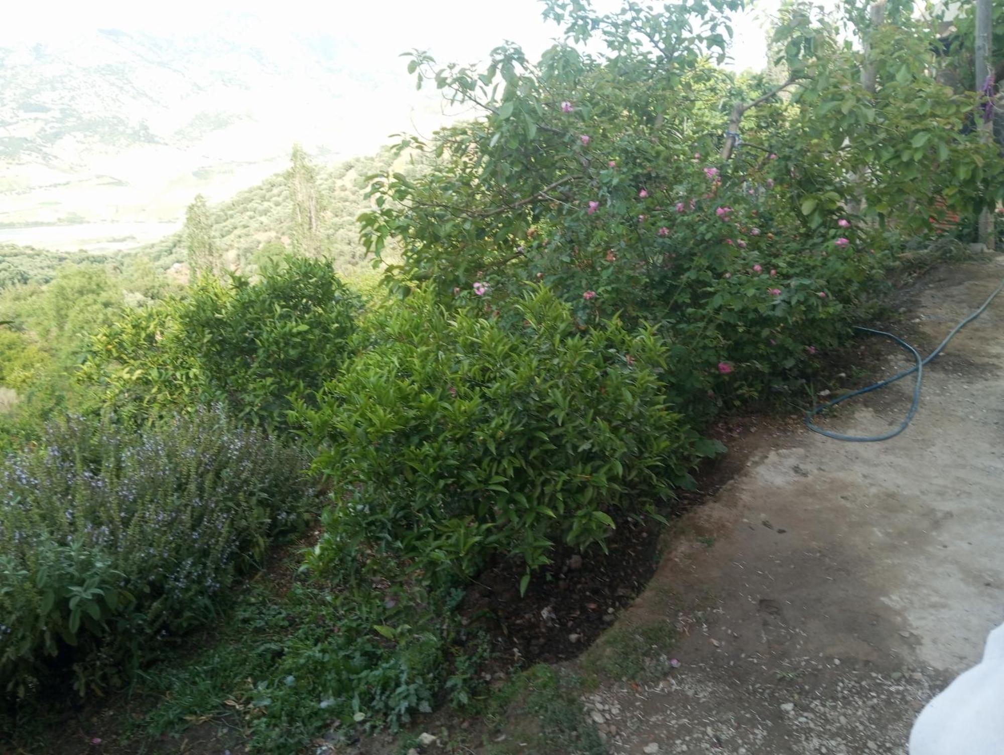 Dar Lala Zhour Apartment Douar Ain Bouchrik Bagian luar foto